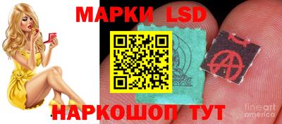 эйфоретик Будённовск