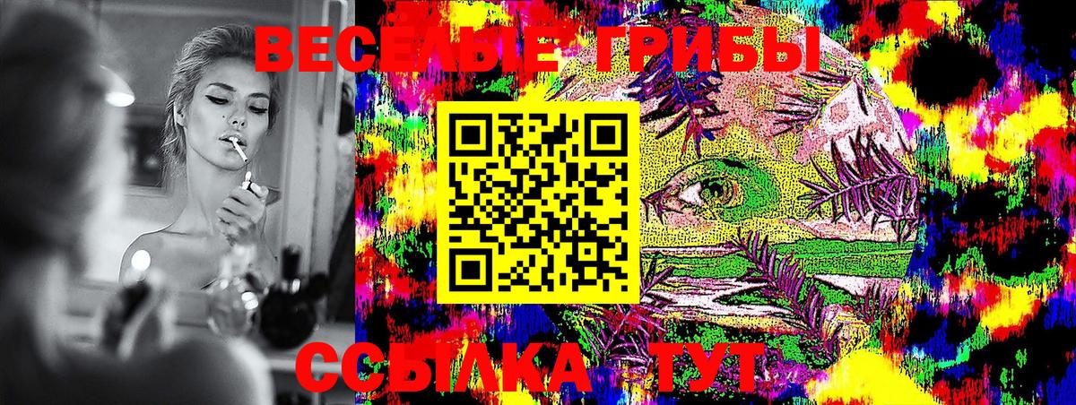 Галлюциногенные грибы Cubensis Чистополь